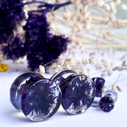 Dark purple ear gauges