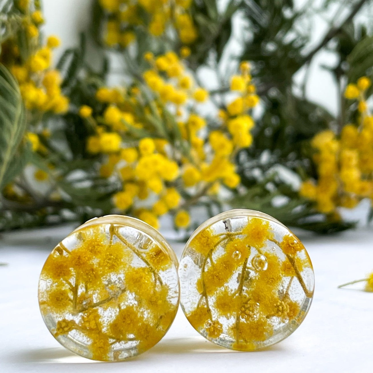 Mimosa tree flower transparent ear gauges