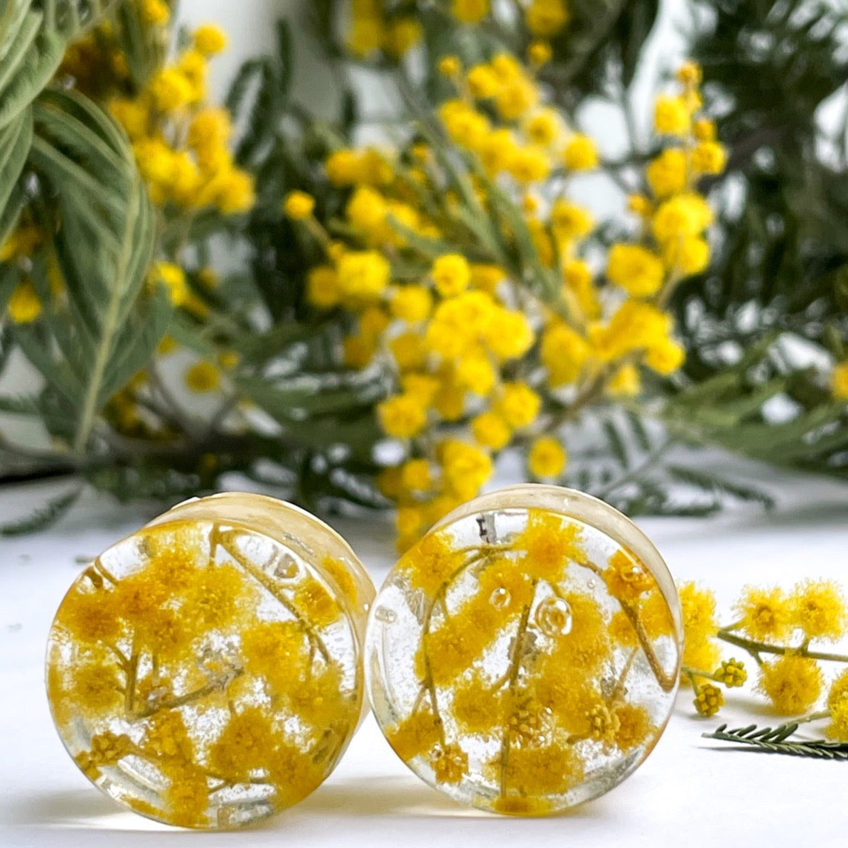 Mimosa tree flower transparent ear gauges