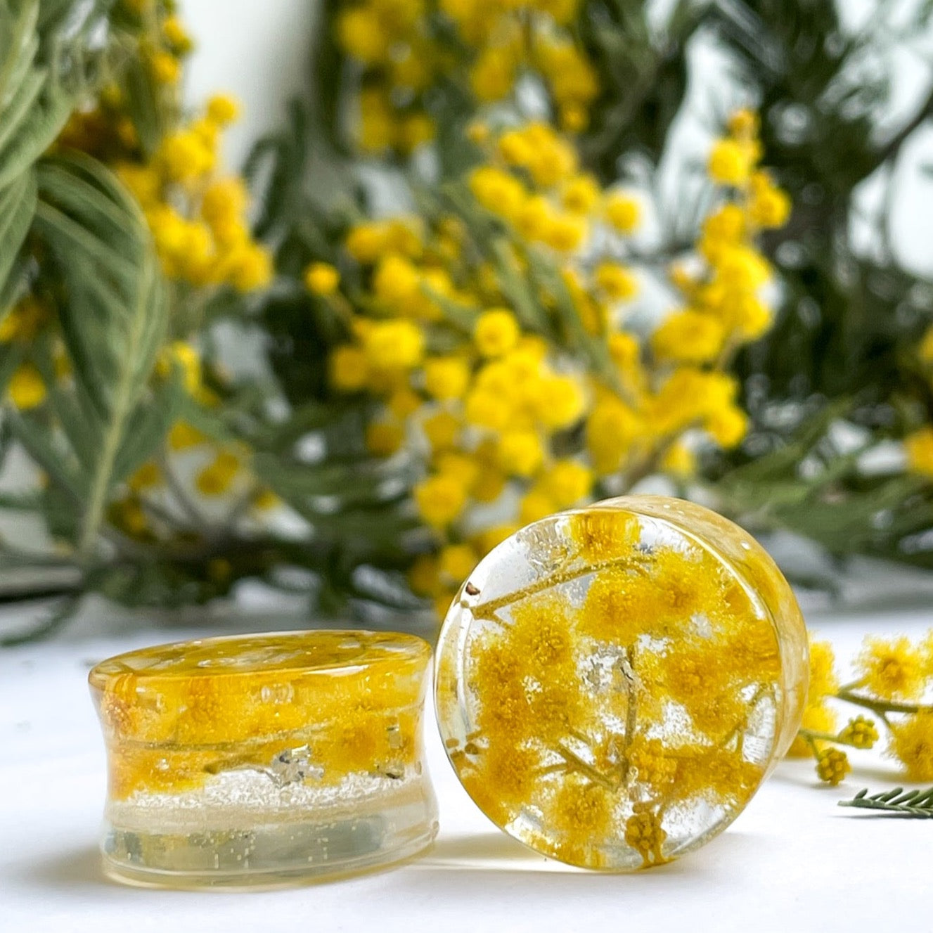 Mimosa tree flower transparent ear gauges