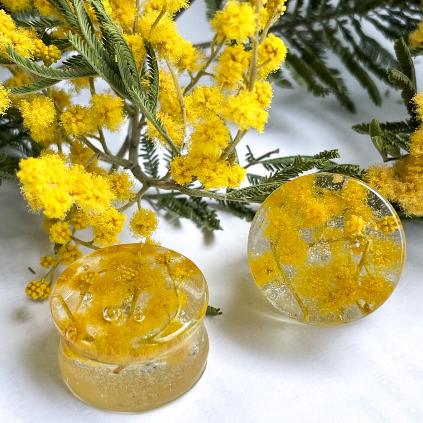 Mimosa tree flower transparent ear gauges