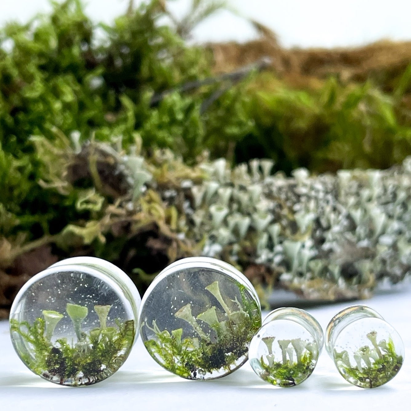 Transparent Moss Mushroom ear gauges