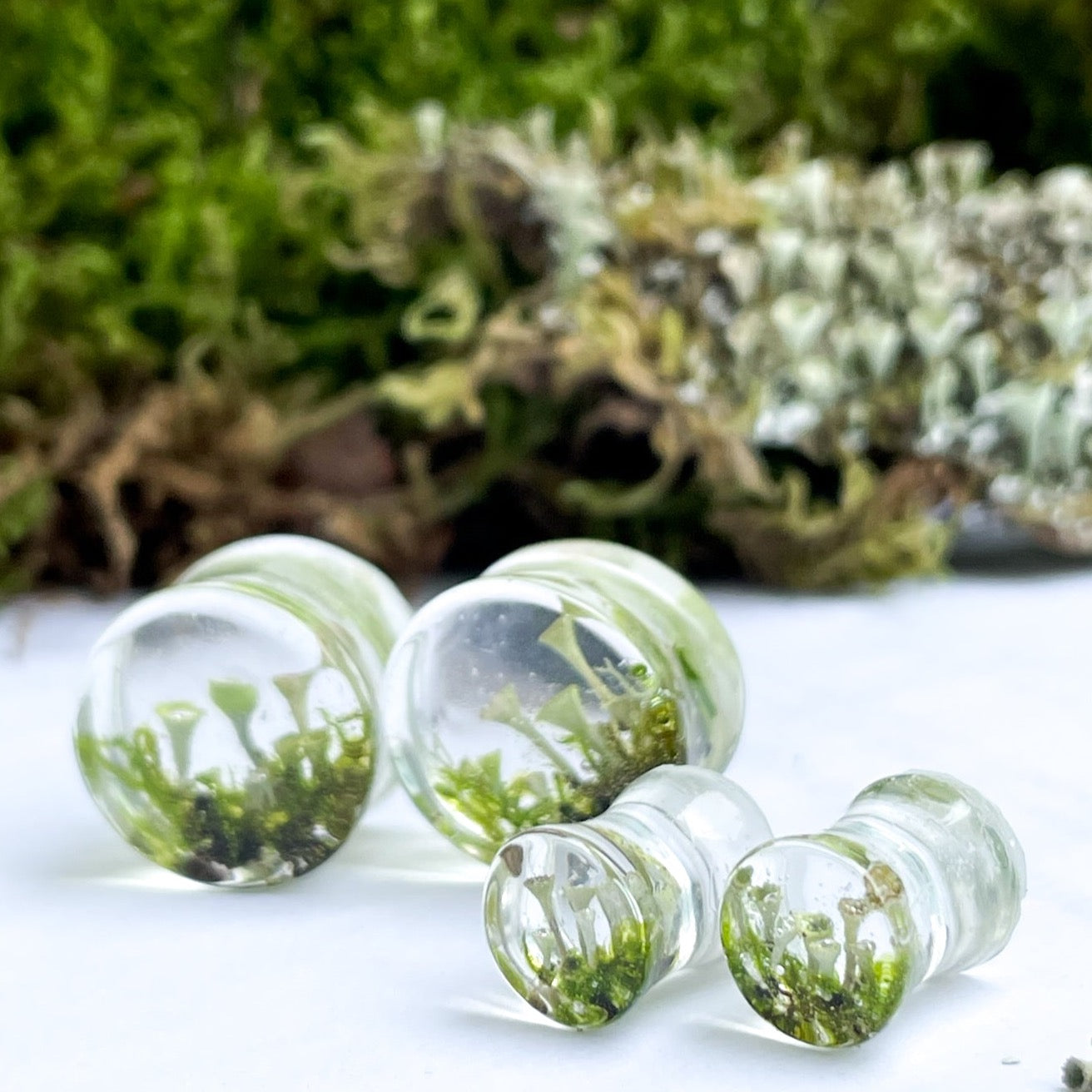 Transparent Moss Mushroom ear gauges