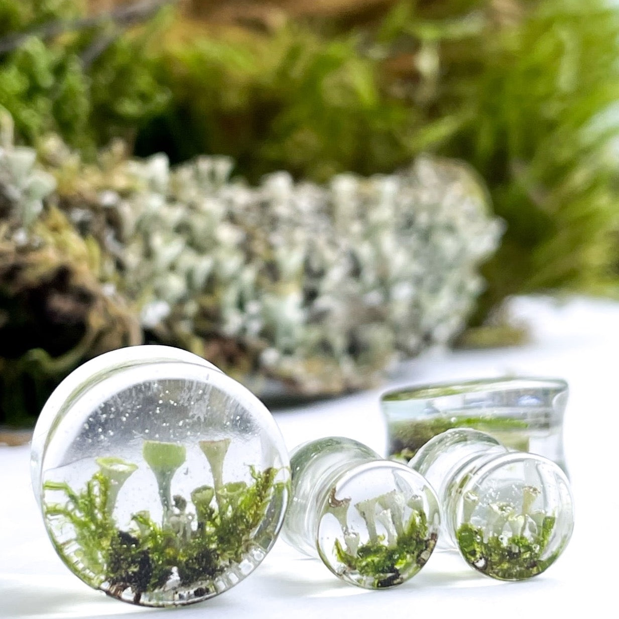 Transparent Moss Mushroom ear gauges