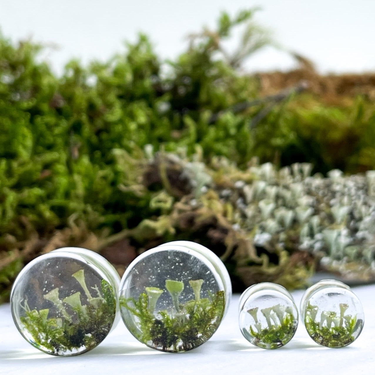 Transparent Moss Mushroom ear gauges