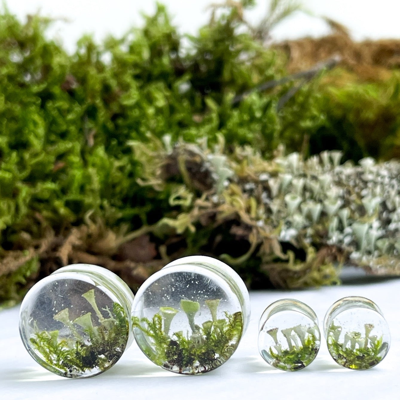 Transparent Moss Mushroom ear gauges