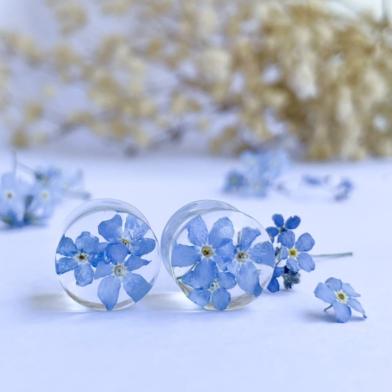 forget-me-not transparent ear gauges