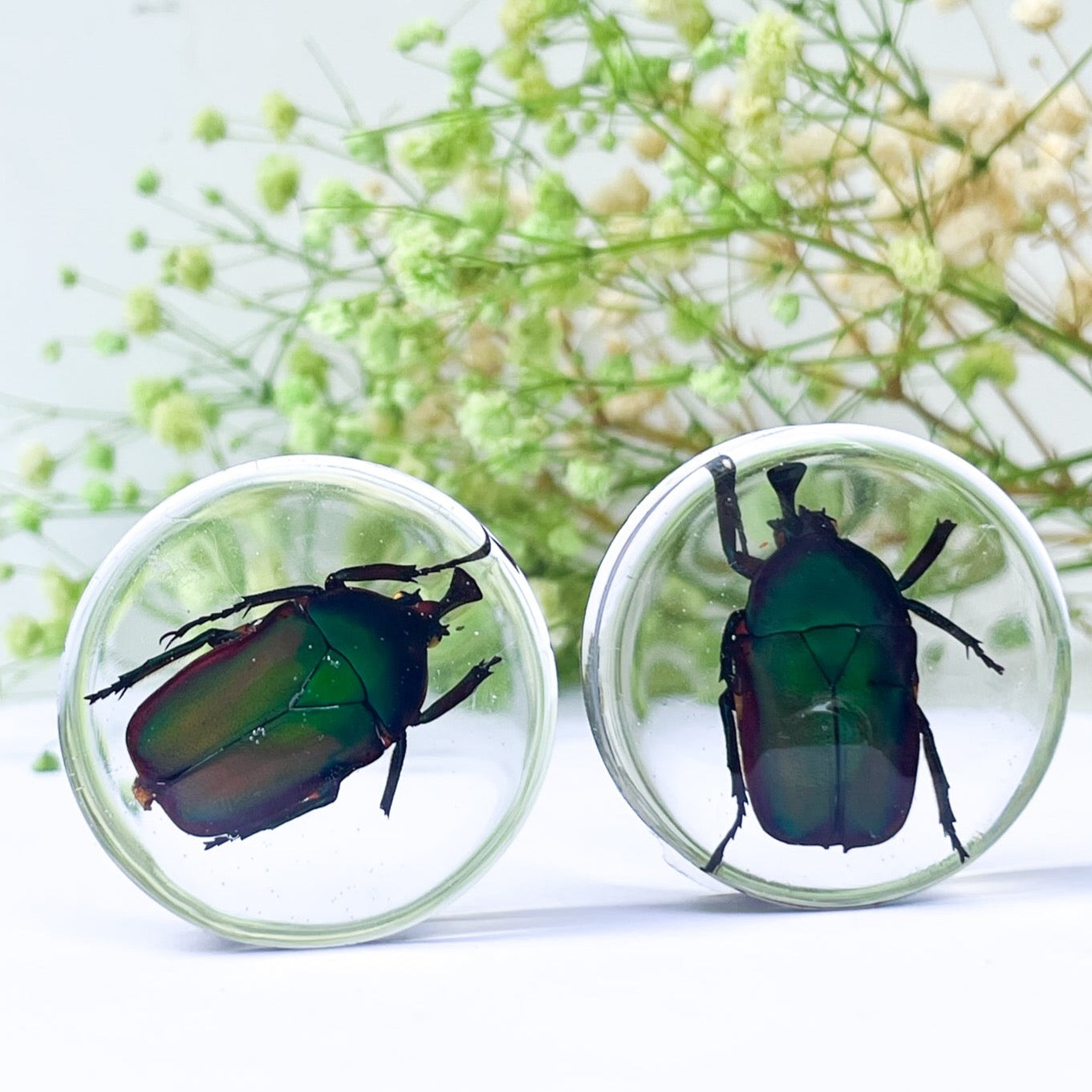 Unique Big insect ear gauges