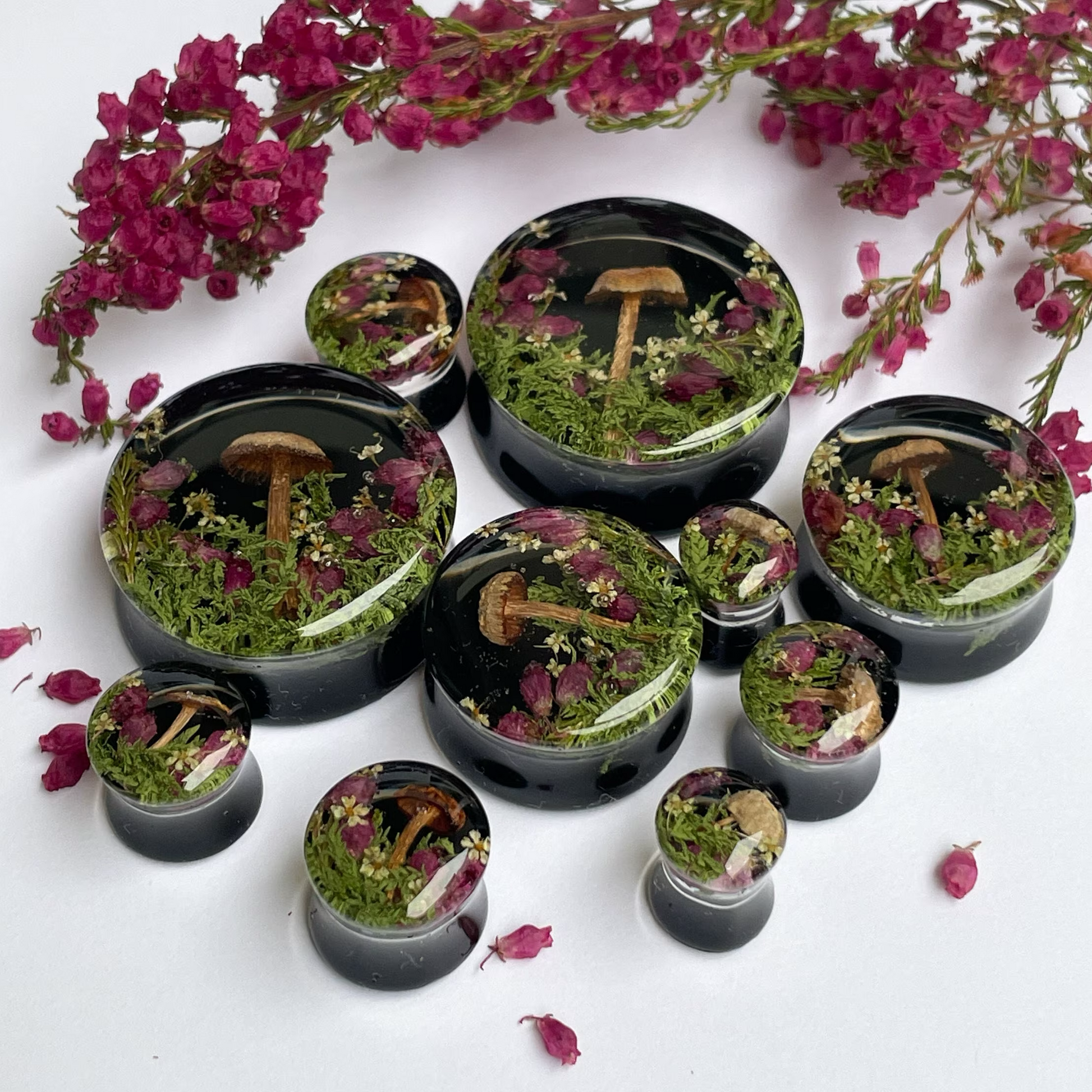 Natural moss flower and mushroom gauges with black background