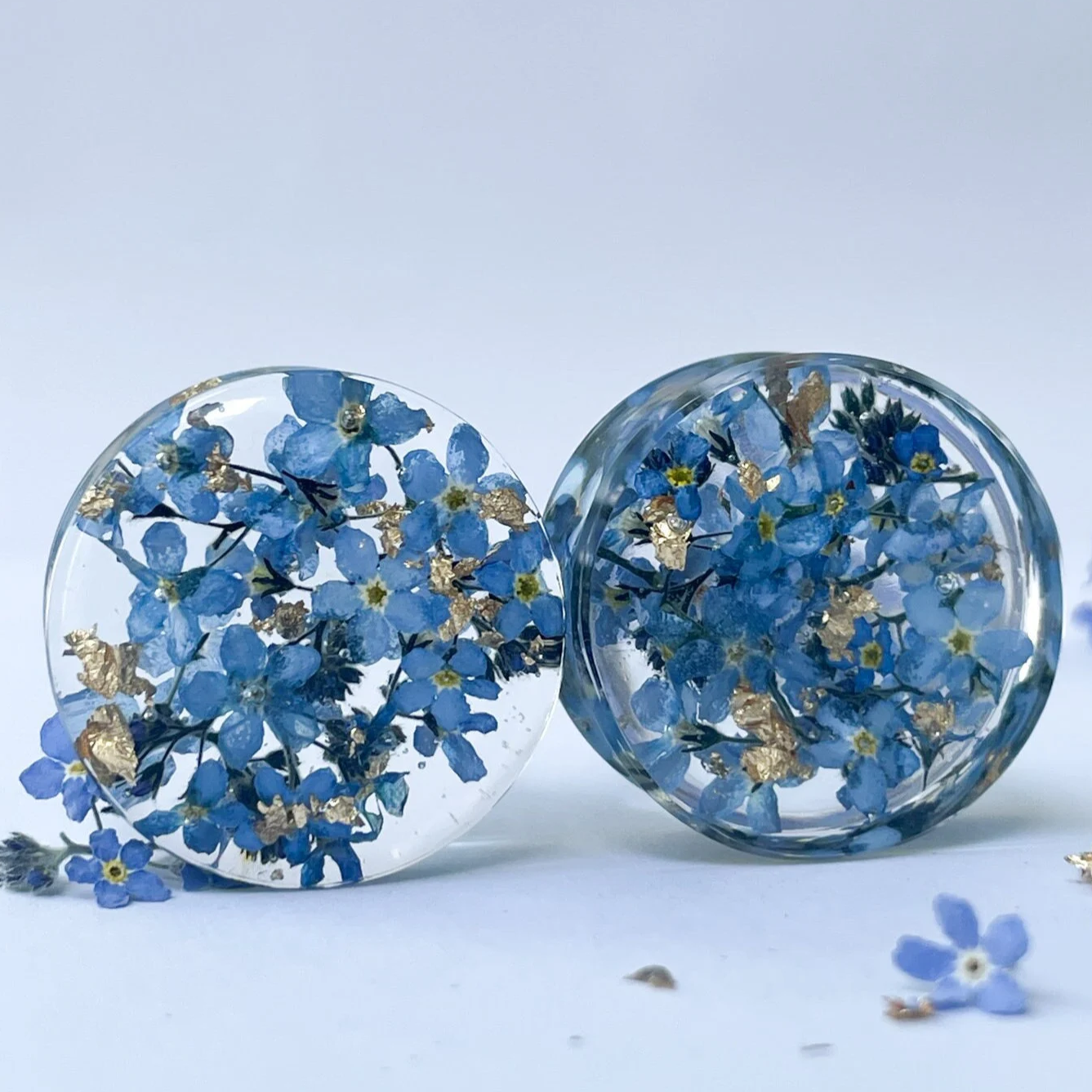 Real Dried forget-me-not flowers ear gauges with gold flakes