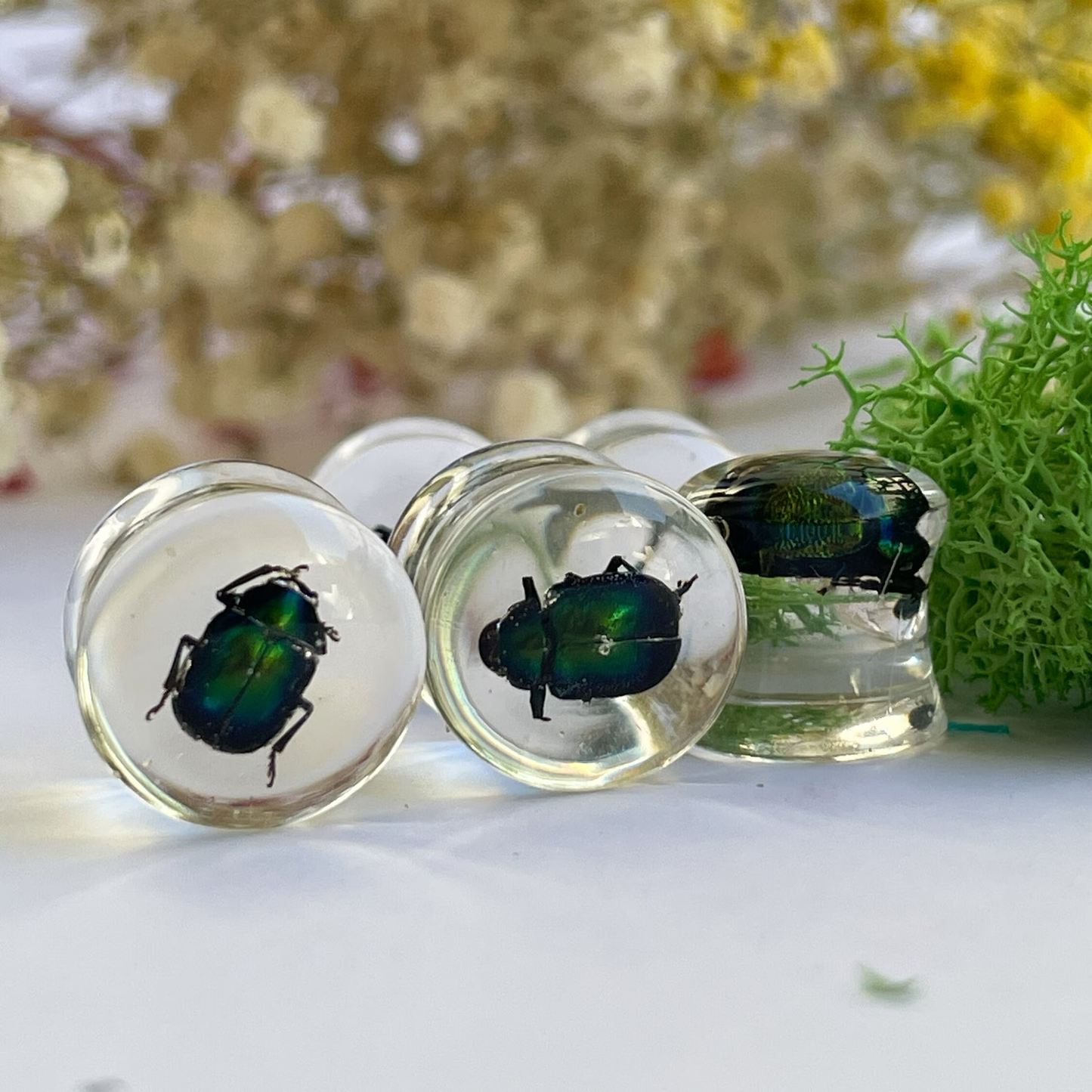 Green beetle ear gauges