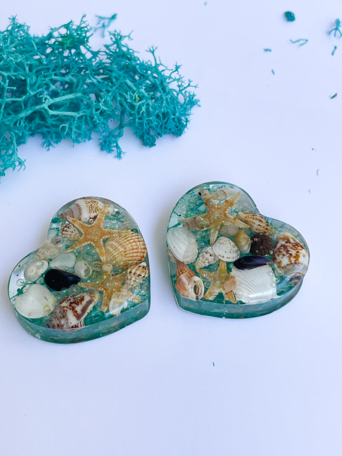 Ocean themed seashell heart shape ear gauges