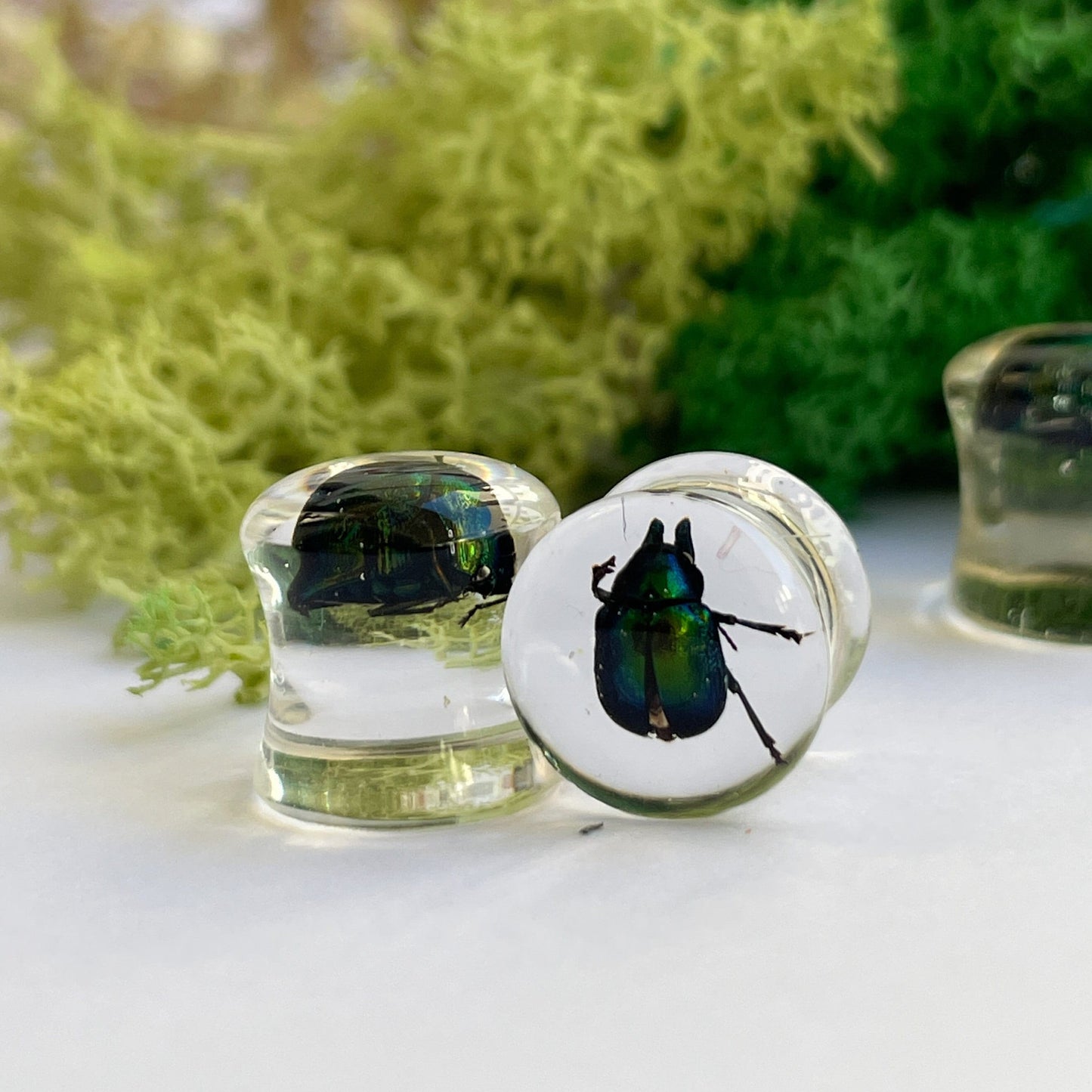 Green beetle ear gauges