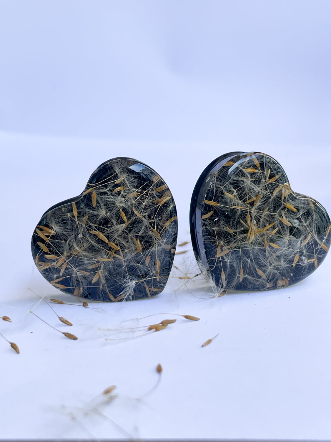 Dandelion seed black heart shaped ear gauges