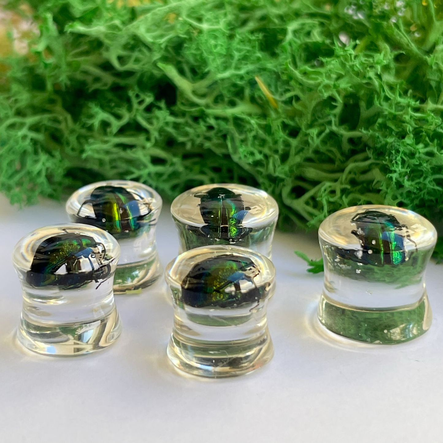 Green beetle ear gauges