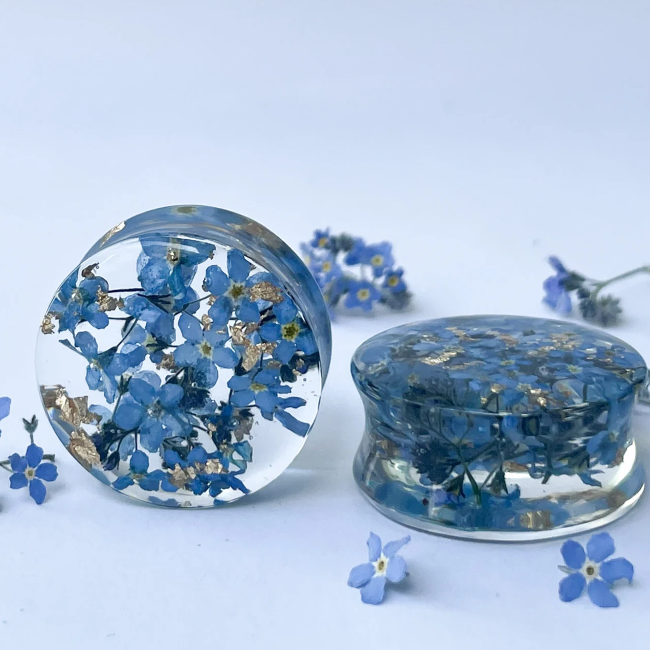 Real Dried forget-me-not flowers ear gauges with gold flakes