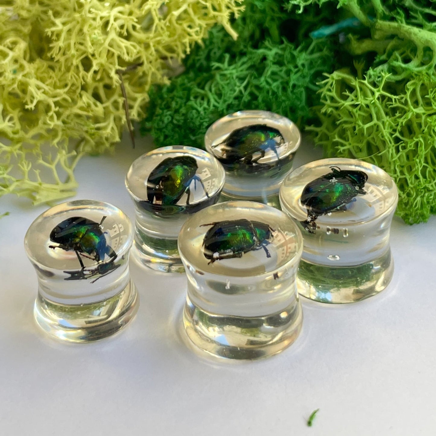 Green beetle ear gauges