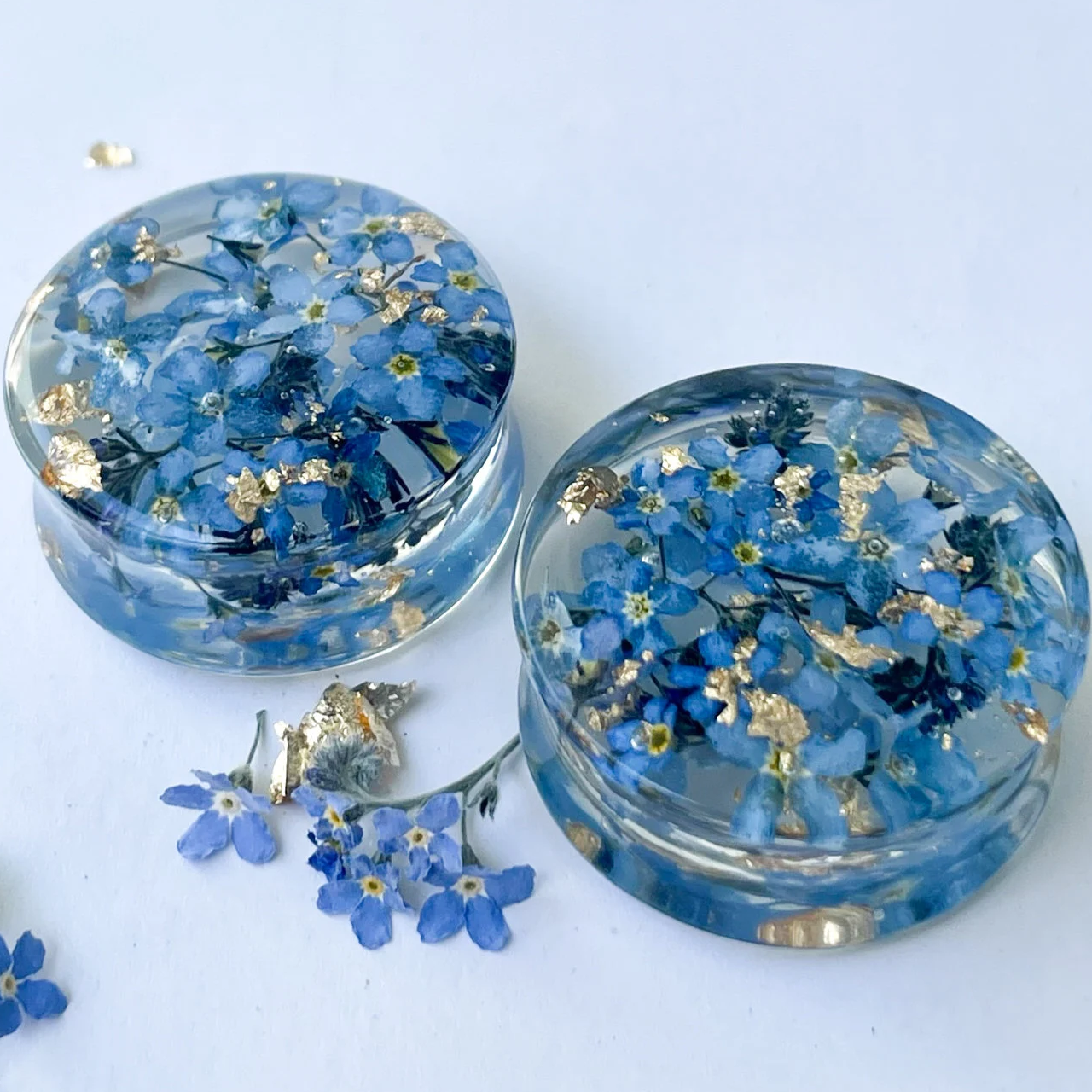 Real Dried forget-me-not flowers ear gauges with gold flakes