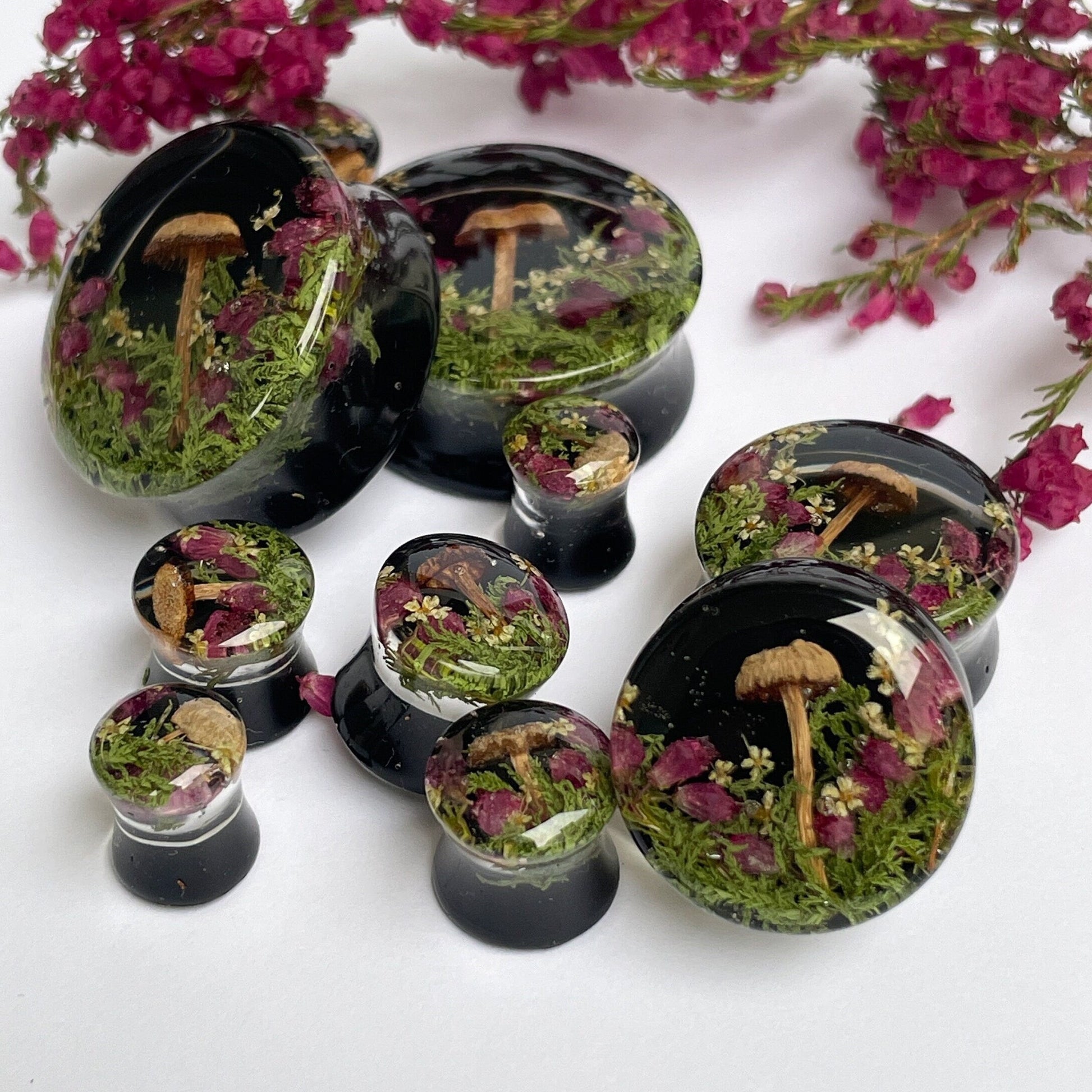 Natural moss flower and mushroom gauges with black background