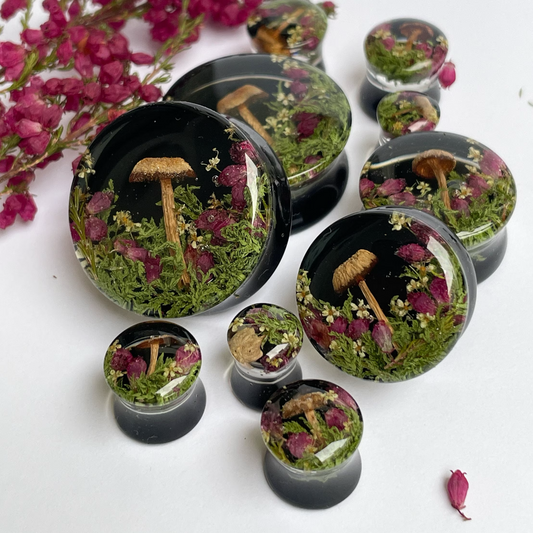 Natural moss flower and mushroom gauges with black background