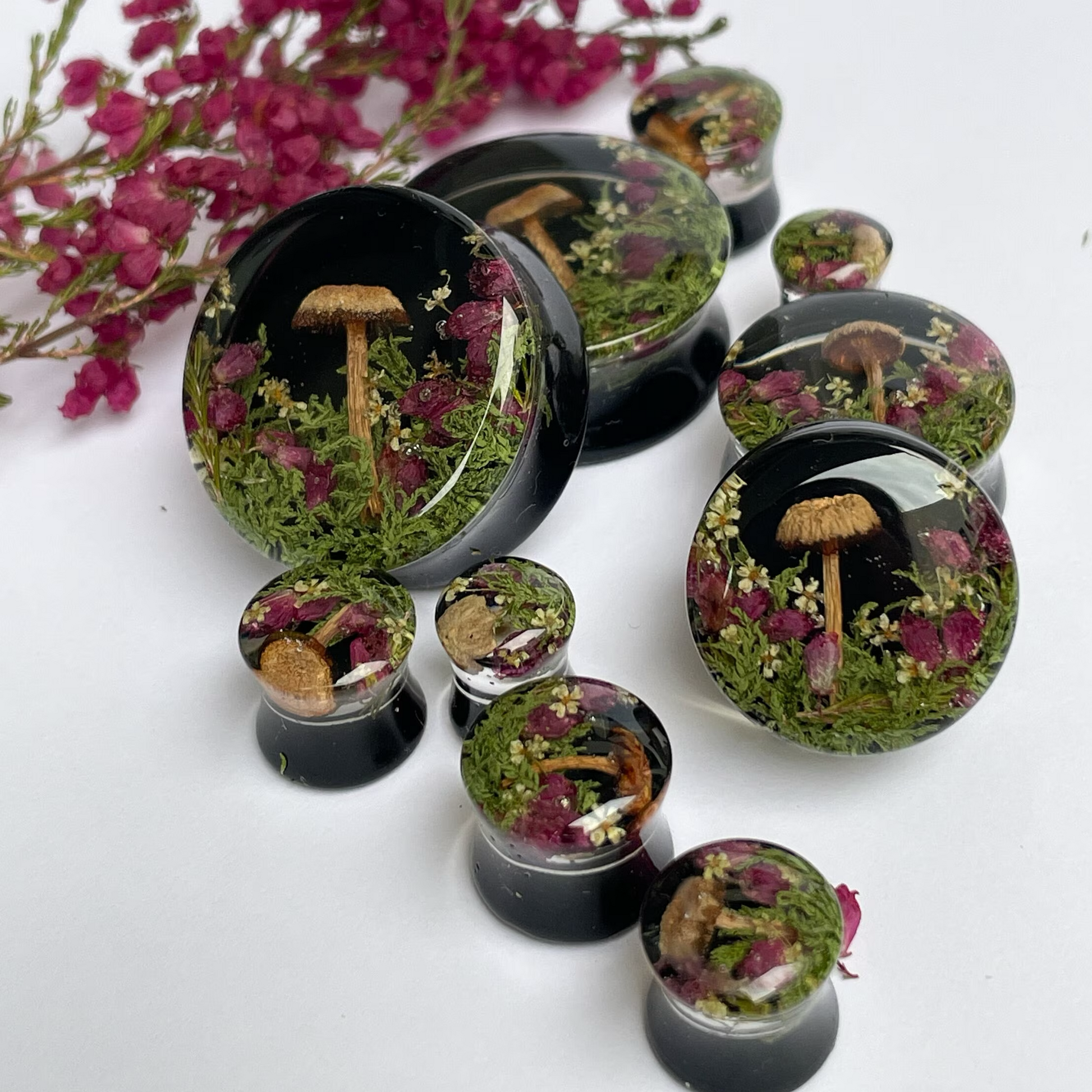 Natural moss flower and mushroom gauges with black background