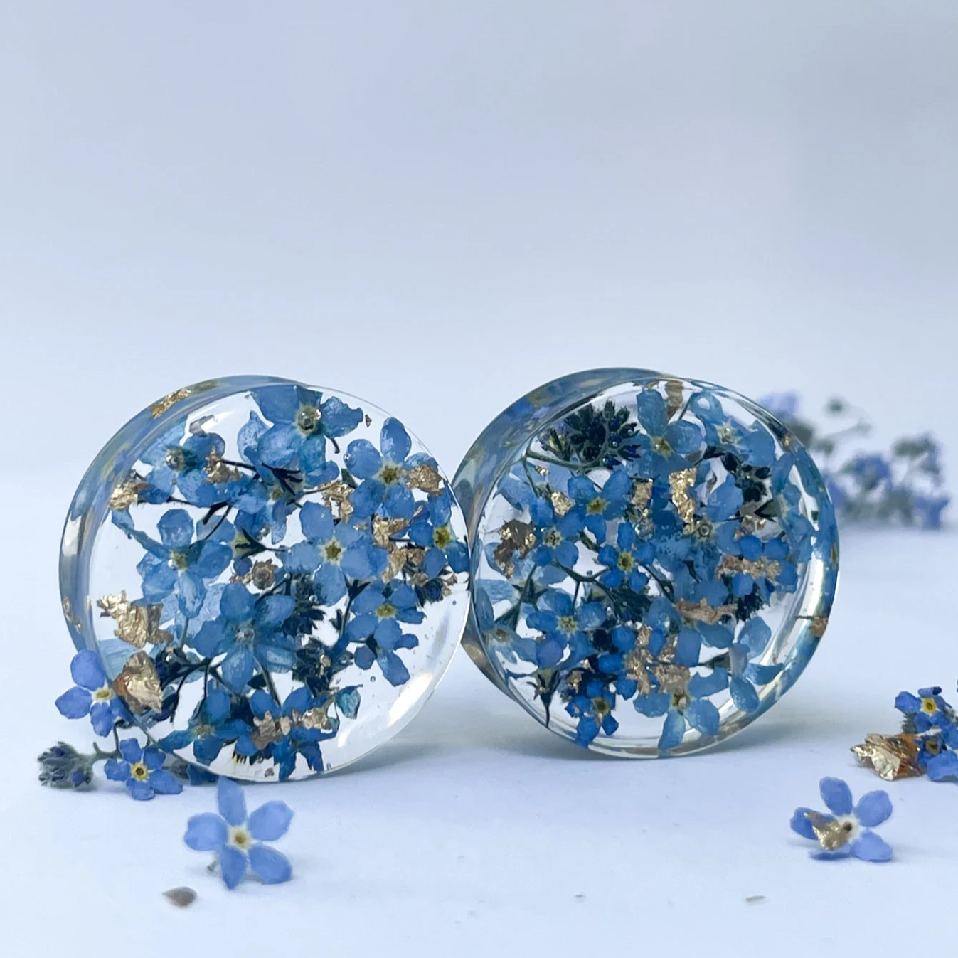 Real Dried forget-me-not flowers ear gauges with gold flakes