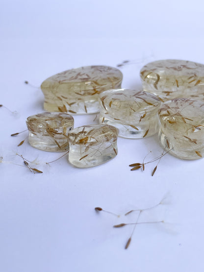 Dandelion seed transparent teardrop ear gauges
