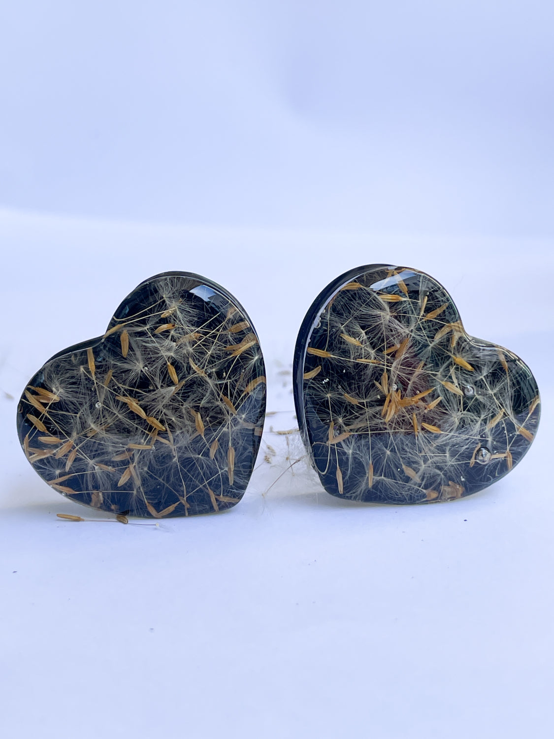 Dandelion seed black heart shaped ear gauges