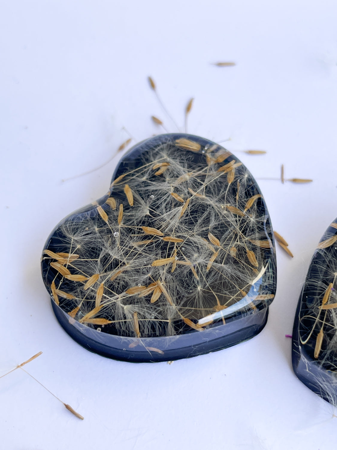 Dandelion seed black heart shaped ear gauges