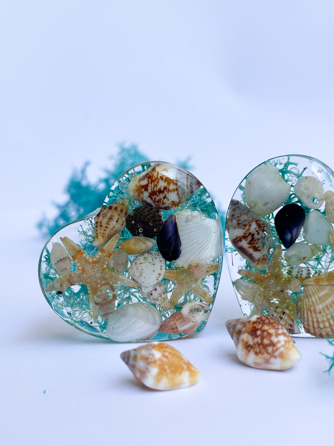 Ocean themed seashell heart shape ear gauges