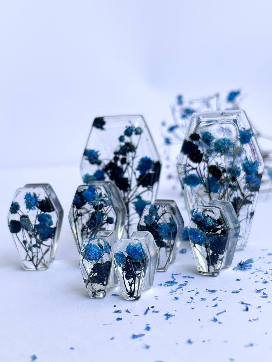 Black and blue flower coffin shape transparent ear gauges