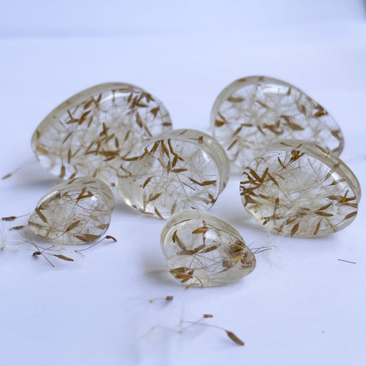 Dandelion seed transparent teardrop ear gauges