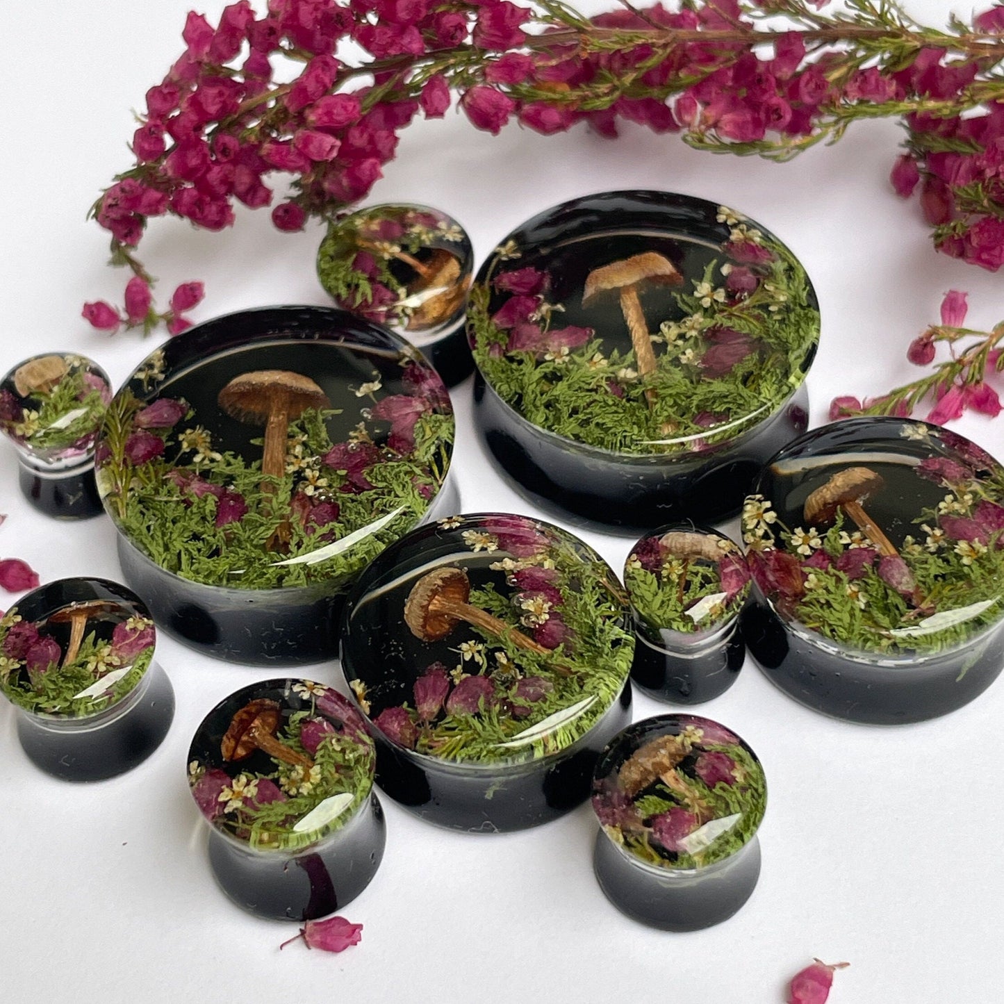 Natural moss flower and mushroom gauges with black background