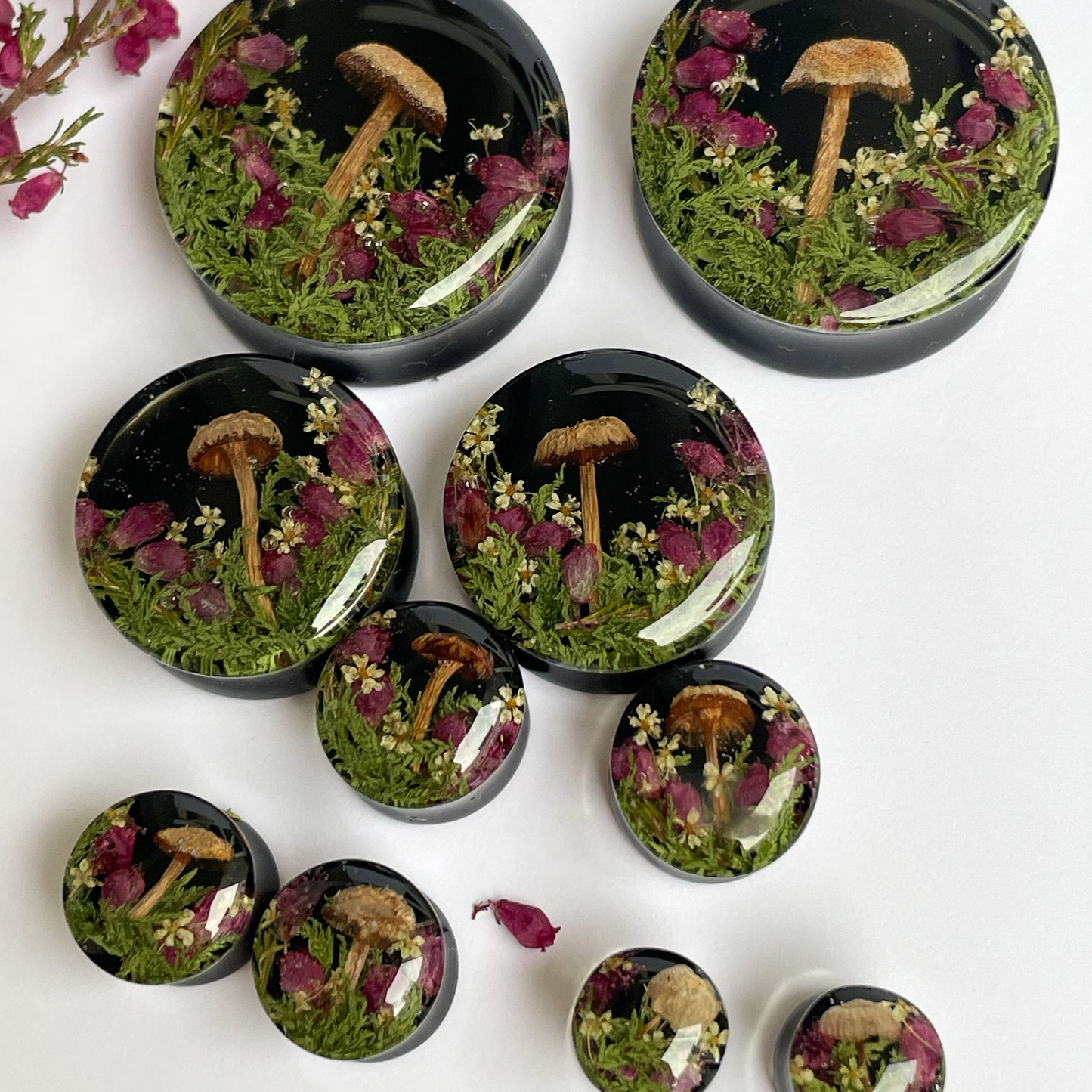 Natural moss flower and mushroom ear gauges with black background