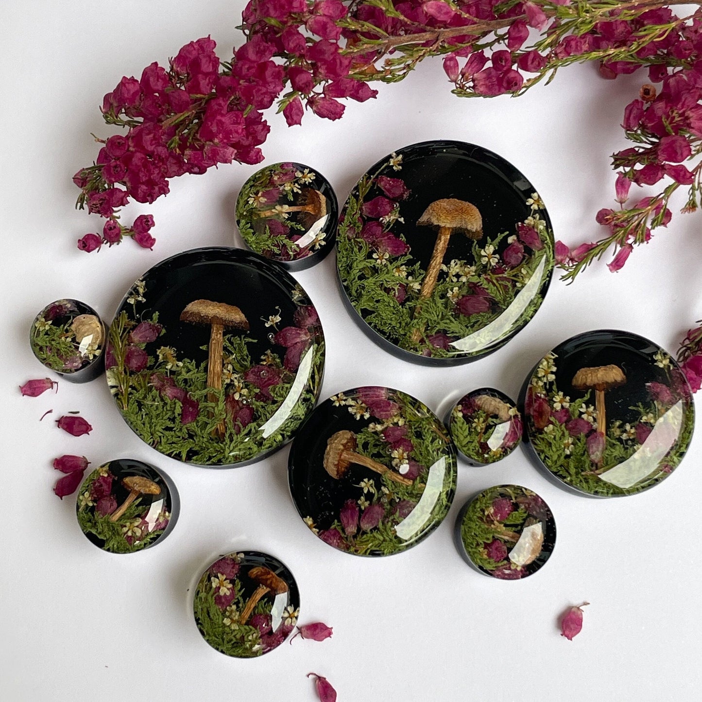 Natural moss flower and mushroom gauges with black background