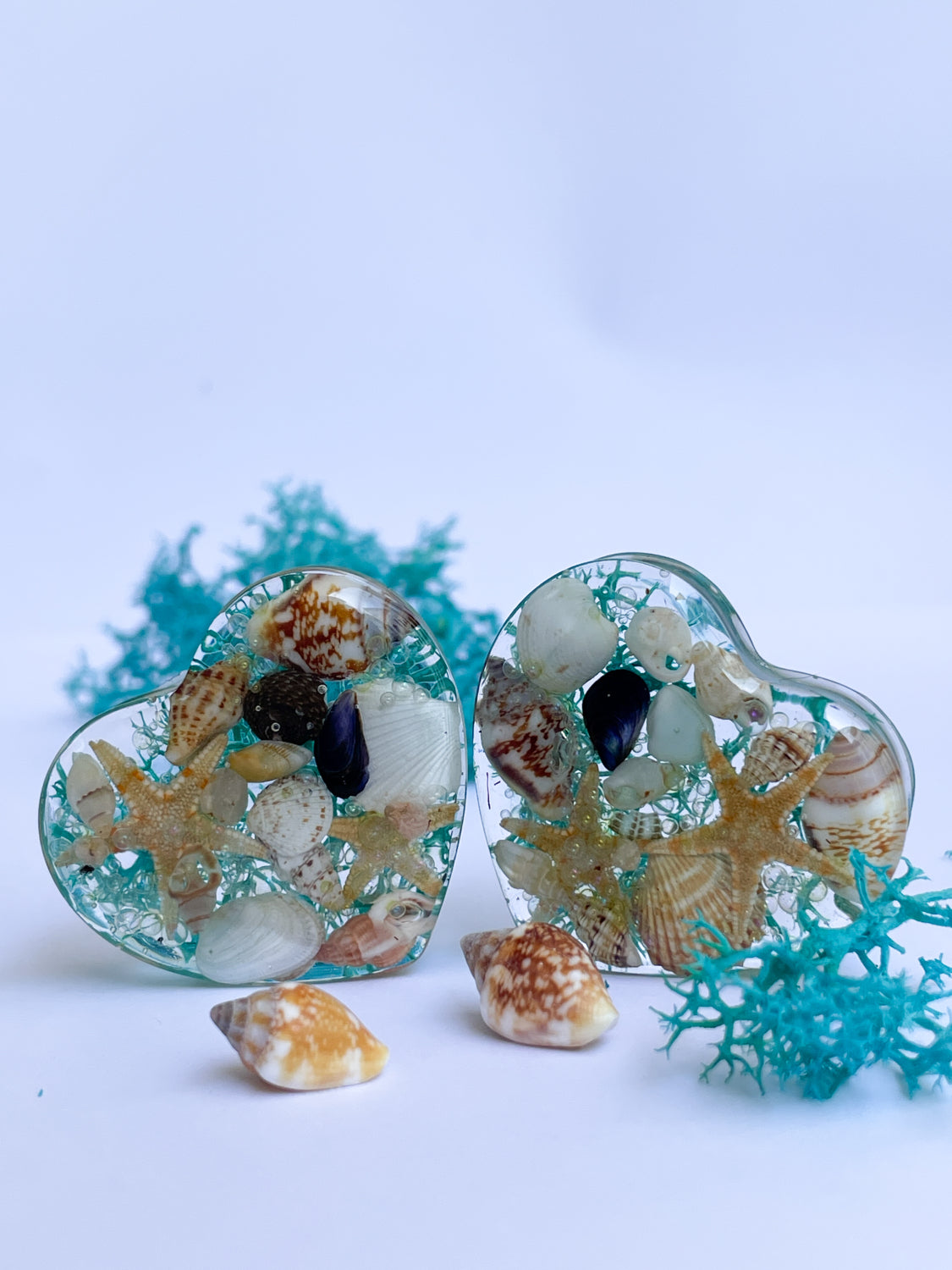 Ocean themed seashell heart shape ear gauges