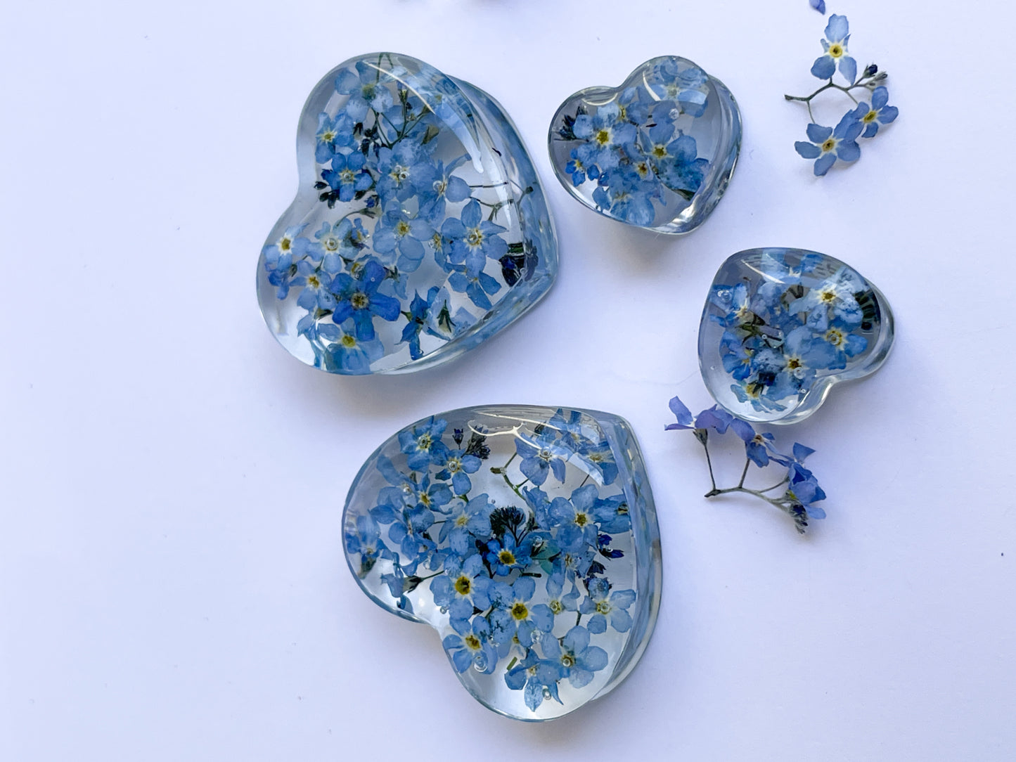 Forget me not transparent flower Heart shaped ear gauges