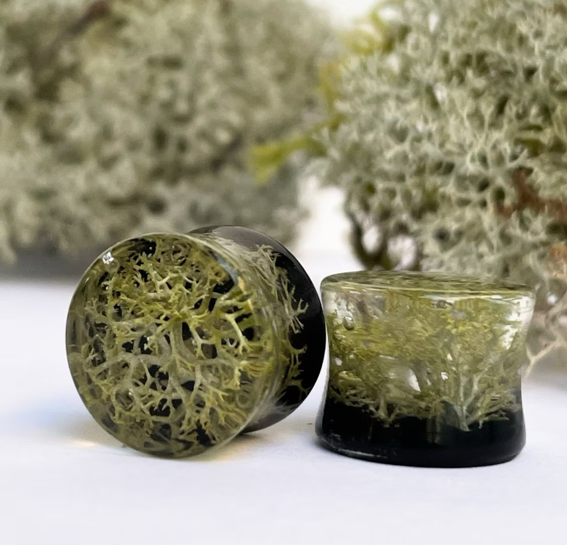 Natural Moss gauges with black background