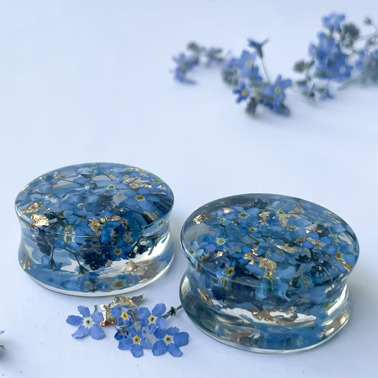 Real Dried forget-me-not flowers ear gauges with gold flakes