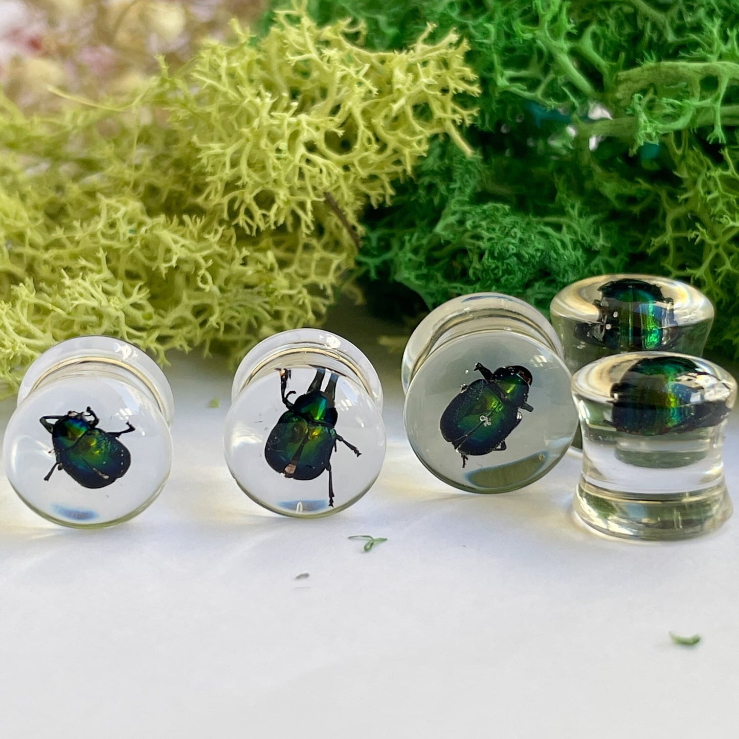 Green beetle ear gauges